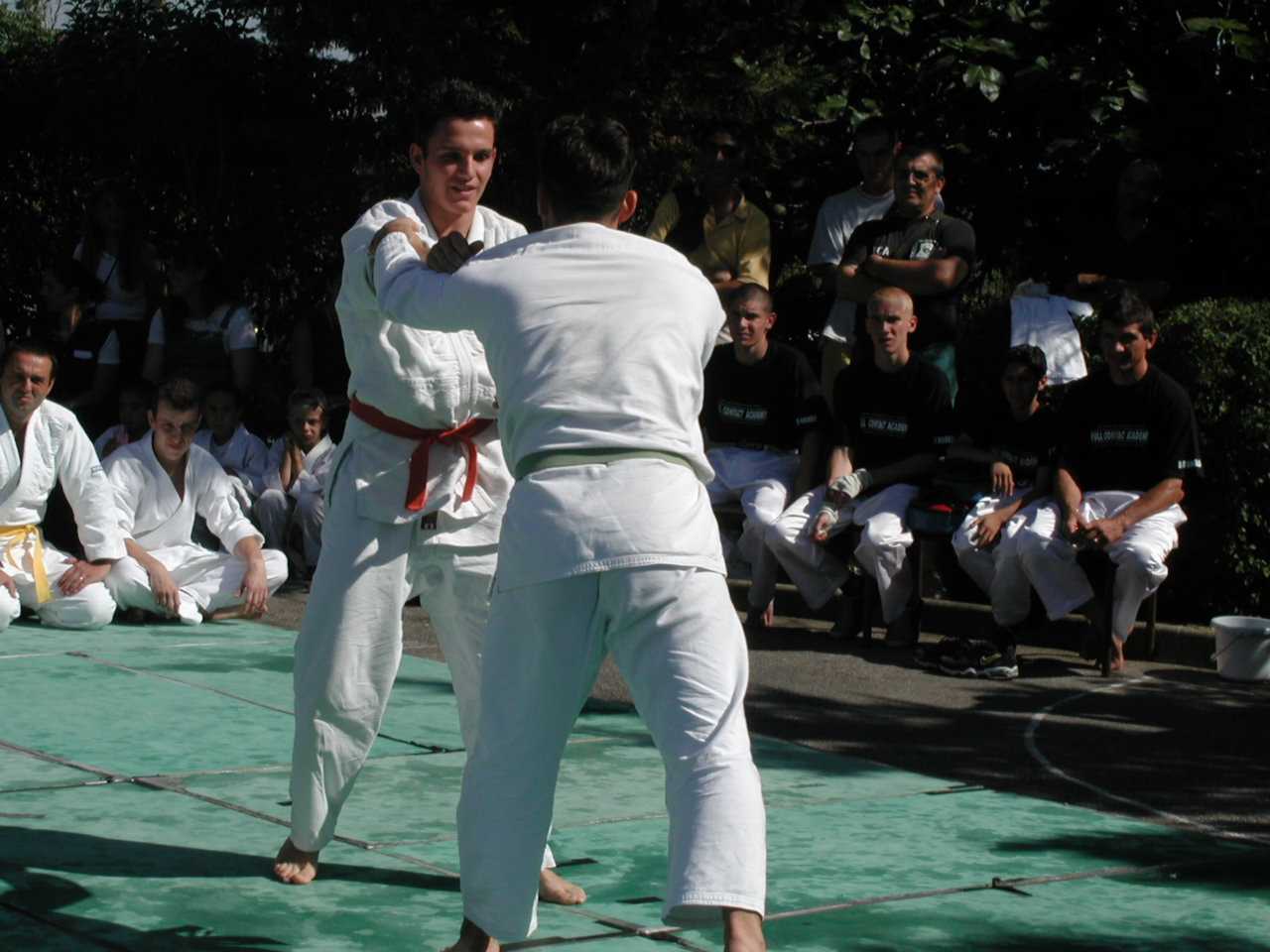 P1010078_WEB